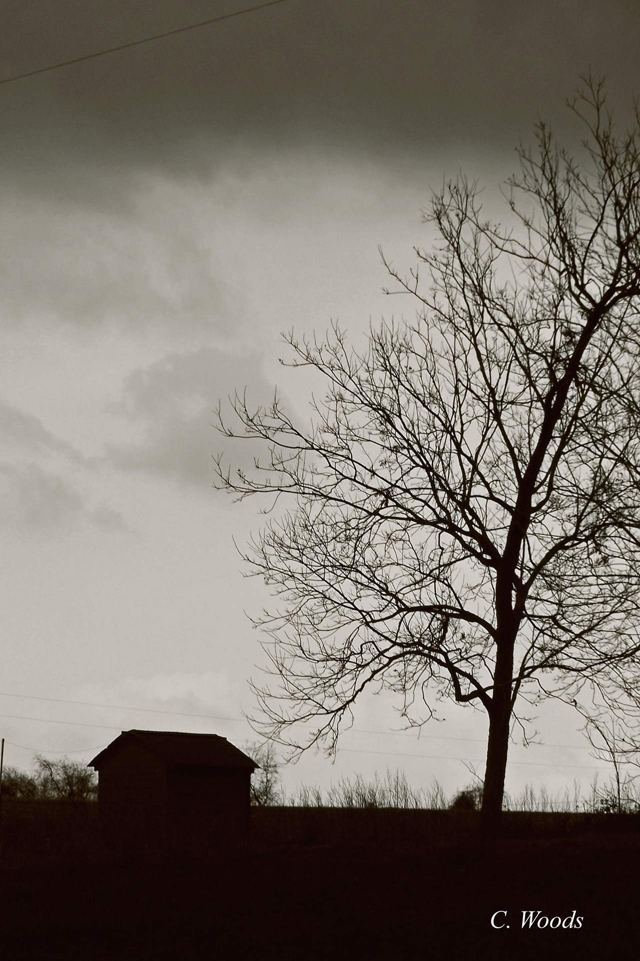 Dark Earth
