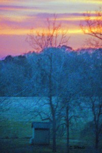 Mid January